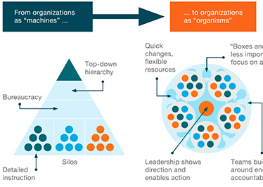 «Agile organizations mobilize quickly, are nimble to act»